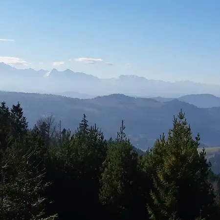 Szarlotka Szczawnica