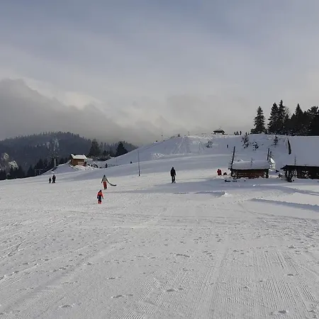 Apartman Szarlotka *