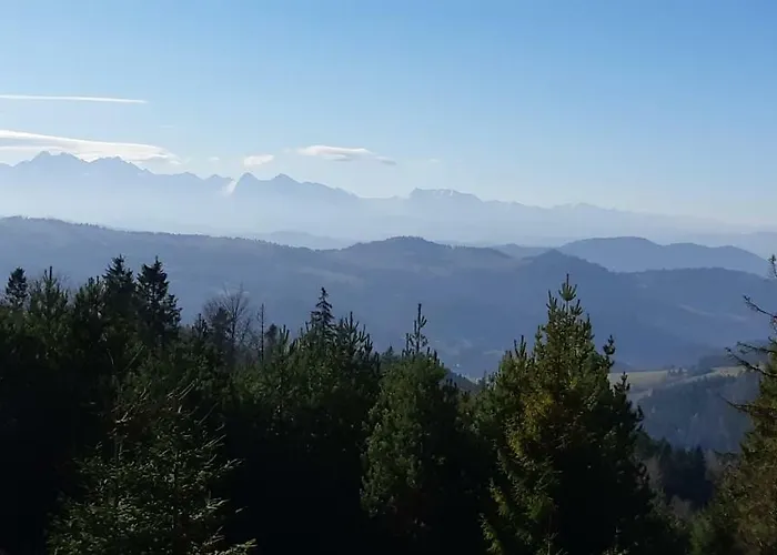 Szarlotka Szczawnica