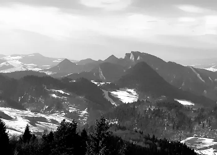 Szarlotka Appartamento