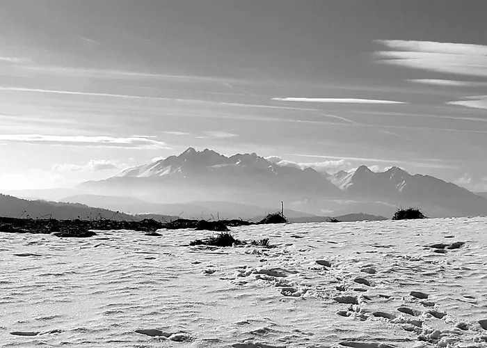 Szarlotka Appartamento *